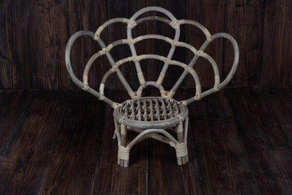 Butterfly Chair