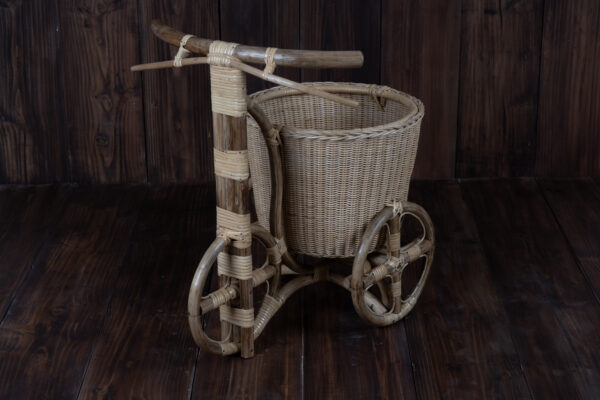 Cane Bike