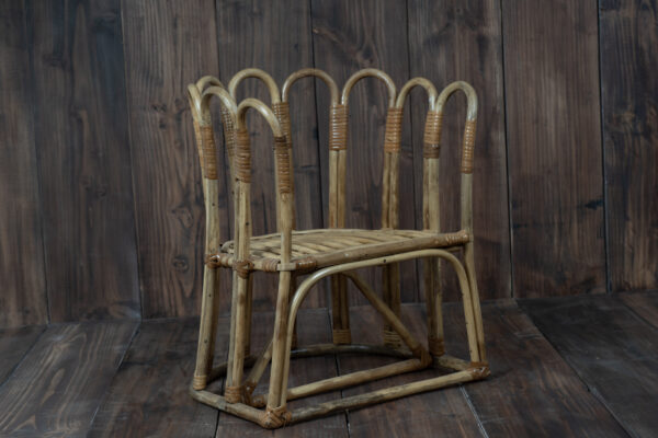 Cane Chair Type 1